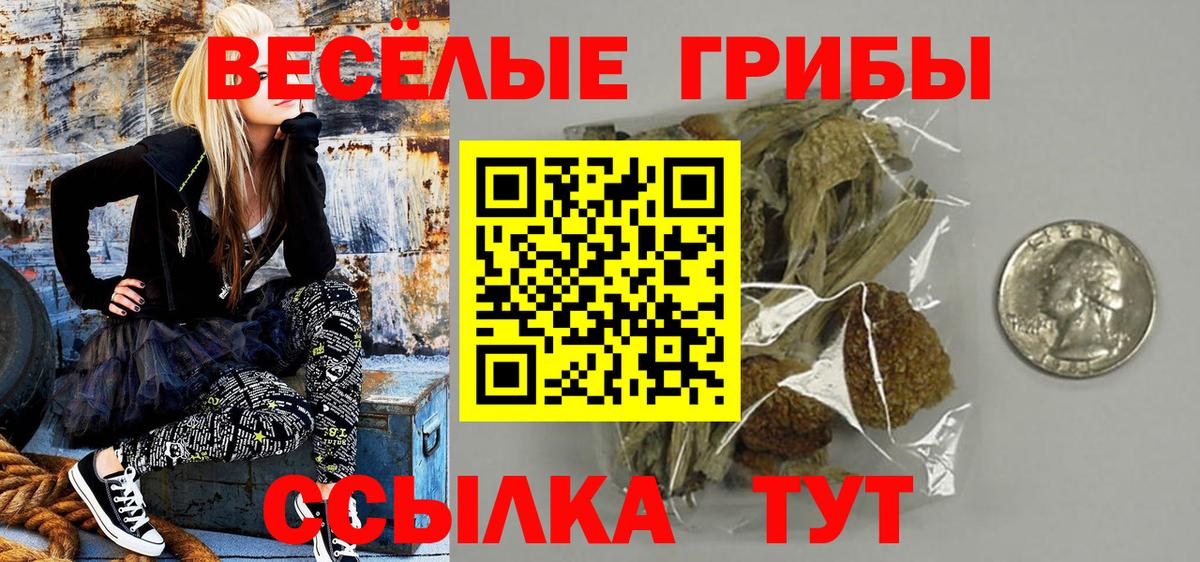Псилоцибиновые грибы Psilocybe Энгельс